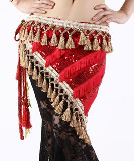Sequins Sleeves - Belly Dance Digs